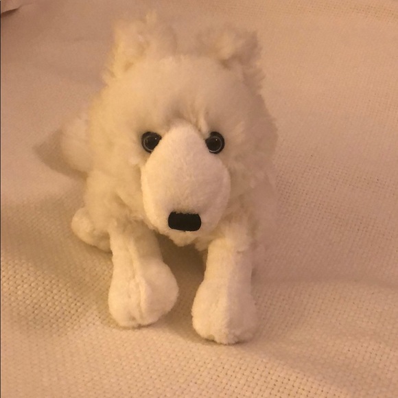 cute webkinz